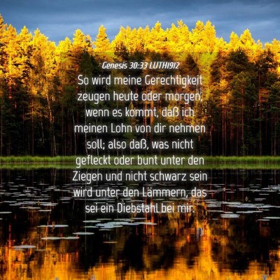 Picture 04 - Genesis 30:33 LUTH1912 - So wird meine Gerechtigkeit zeugen heute oder - Bible Verse Picture