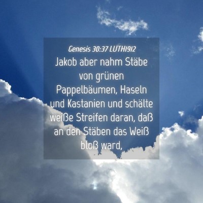 Picture 04 - Genesis 30:37 LUTH1912 - Jakob aber nahm Stäbe von grünen Pappelbäumen, - Bible Verse Picture