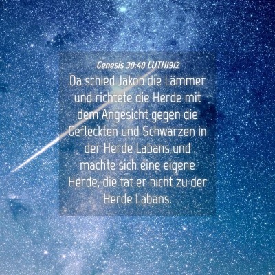 Picture 04 - Genesis 30:40 LUTH1912 - Da schied Jakob die Lämmer und richtete die - Bible Verse Picture