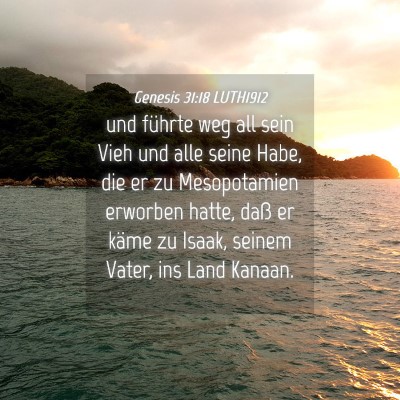Picture 04 - Genesis 31:18 LUTH1912 - und führte weg all sein Vieh und alle seine - Bible Verse Picture