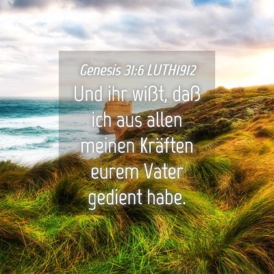 Picture 04 - Genesis 31:6 LUTH1912 - Und ihr wißt, daß ich aus allen meinen Kräften - Bible Verse Picture