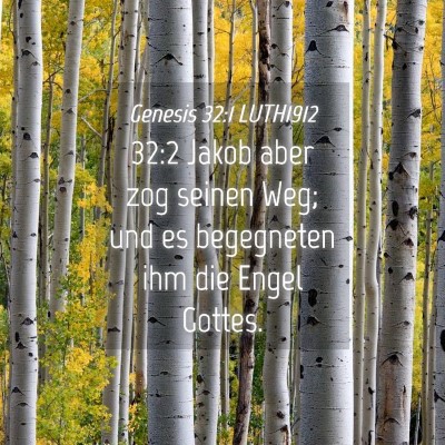 Picture 04 - Genesis 32:1 LUTH1912 - 32:2 Jakob aber zog seinen Weg; und es begegneten - Bible Verse Picture