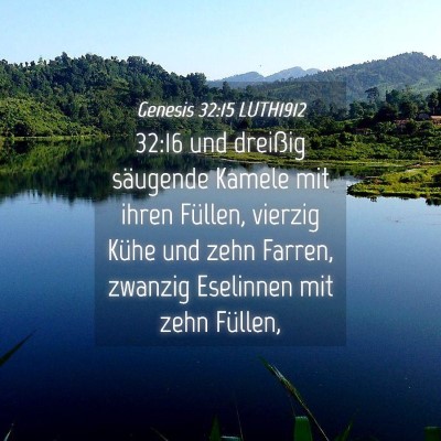 Picture 04 - Genesis 32:15 LUTH1912 - 32:16 und dreißig säugende Kamele mit ihren - Bible Verse Picture