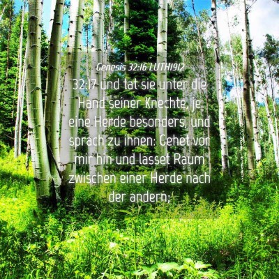 Picture 04 - Genesis 32:16 LUTH1912 - 32:17 und tat sie unter die Hand seiner Knechte, - Bible Verse Picture