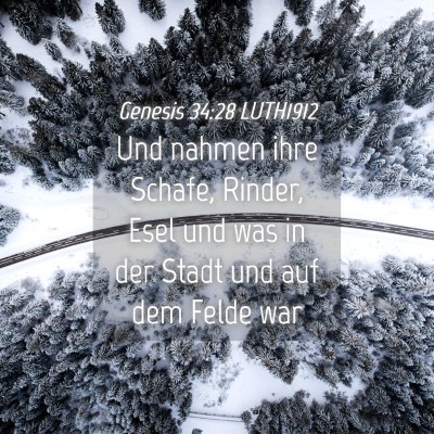 Picture 04 - Genesis 34:28 LUTH1912 - Und nahmen ihre Schafe, Rinder, Esel und was in - Bible Verse Picture