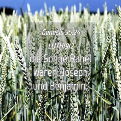 Picture 04 - Genesis 35:24 LUTH1912 - die Söhne Rahel waren: Joseph und - Bible Verse Picture