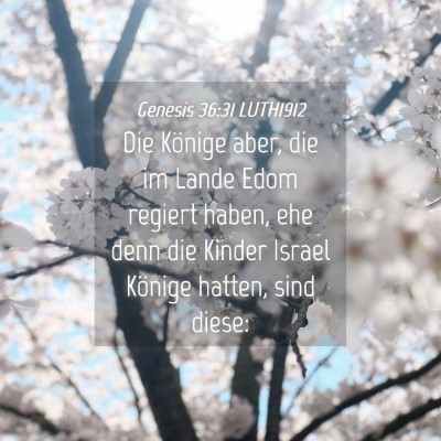Picture 04 - Genesis 36:31 LUTH1912 - Die Könige aber, die im Lande Edom regiert - Bible Verse Picture