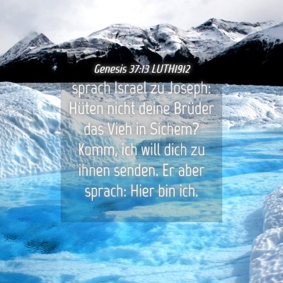 Picture 04 - Genesis 37:13 LUTH1912 - sprach Israel zu Joseph: Hüten nicht deine - Bible Verse Picture