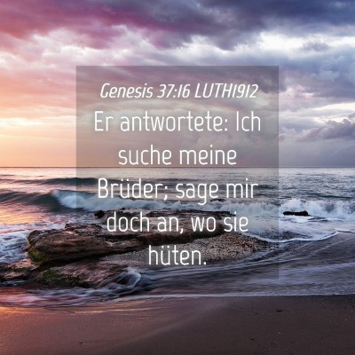 Picture 04 - Genesis 37:16 LUTH1912 - Er antwortete: Ich suche meine Brüder; sage mir - Bible Verse Picture