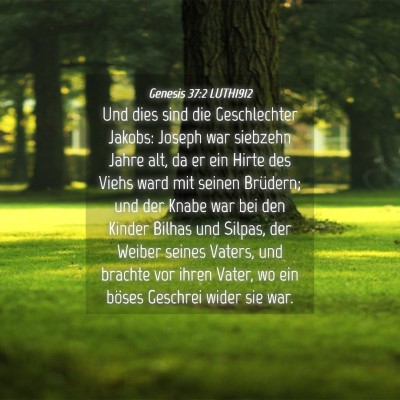 Picture 04 - Genesis 37:2 LUTH1912 - Und dies sind die Geschlechter Jakobs: Joseph war - Bible Verse Picture
