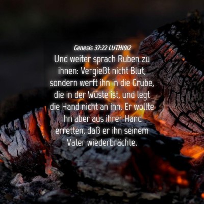Picture 04 - Genesis 37:22 LUTH1912 - Und weiter sprach Ruben zu ihnen: Vergießt nicht - Bible Verse Picture