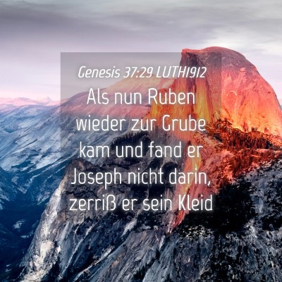 Picture 04 - Genesis 37:29 LUTH1912 - Als nun Ruben wieder zur Grube kam und fand er - Bible Verse Picture