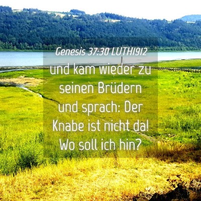 Picture 04 - Genesis 37:30 LUTH1912 - und kam wieder zu seinen Brüdern und sprach: Der - Bible Verse Picture