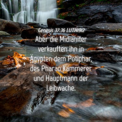 Picture 04 - Genesis 37:36 LUTH1912 - Aber die Midianiter verkauften ihn in Ägypten - Bible Verse Picture