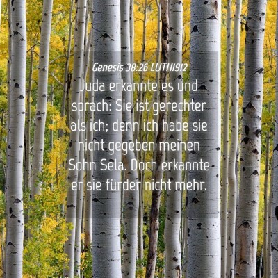 Picture 04 - Genesis 38:26 LUTH1912 - Juda erkannte es und sprach: Sie ist gerechter - Bible Verse Picture