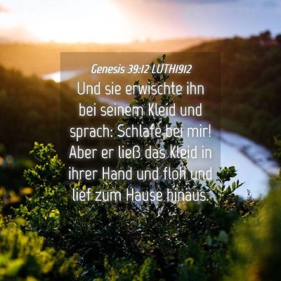 Picture 04 - Genesis 39:12 LUTH1912 - Und sie erwischte ihn bei seinem Kleid und - Bible Verse Picture