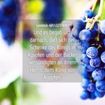 Picture 04 - Genesis 40:1 LUTH1912 - Und es begab sich darnach, daß sich der Schenke - Bible Verse Picture