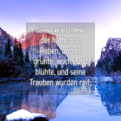 Picture 04 - Genesis 40:10 LUTH1912 - der hatte drei Reben, und er grünte, wuchs und - Bible Verse Picture