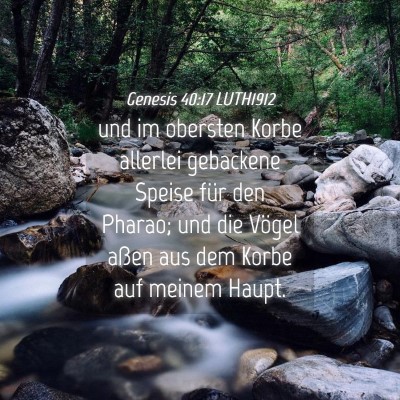 Picture 04 - Genesis 40:17 LUTH1912 - und im obersten Korbe allerlei gebackene Speise - Bible Verse Picture