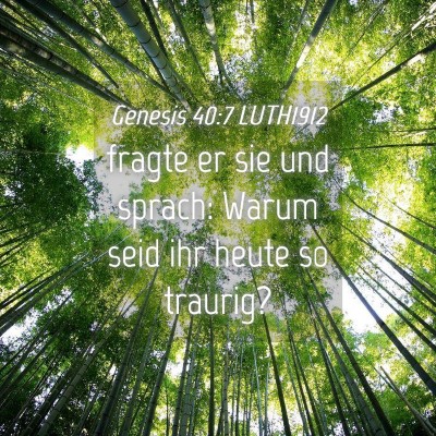 Picture 04 - Genesis 40:7 LUTH1912 - fragte er sie und sprach: Warum seid ihr heute so - Bible Verse Picture