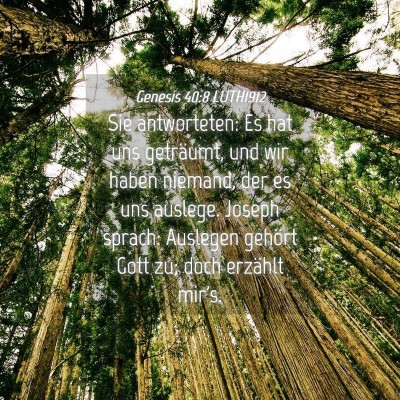 Picture 04 - Genesis 40:8 LUTH1912 - Sie antworteten: Es hat uns geträumt, und wir - Bible Verse Picture
