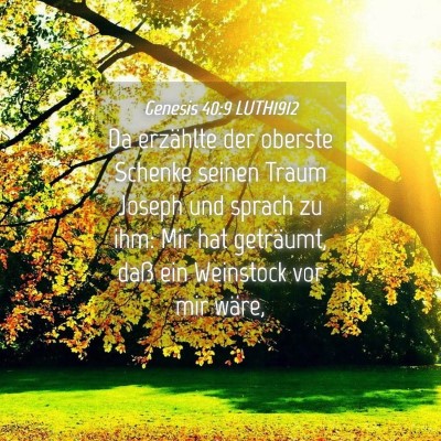 Picture 04 - Genesis 40:9 LUTH1912 - Da erzählte der oberste Schenke seinen Traum - Bible Verse Picture