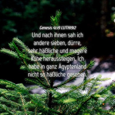Picture 04 - Genesis 41:19 LUTH1912 - Und nach ihnen sah ich andere sieben, dürre, - Bible Verse Picture