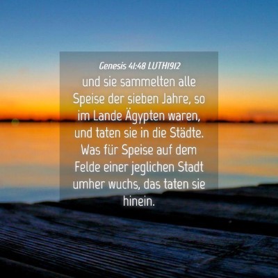 Picture 04 - Genesis 41:48 LUTH1912 - und sie sammelten alle Speise der sieben Jahre, - Bible Verse Picture