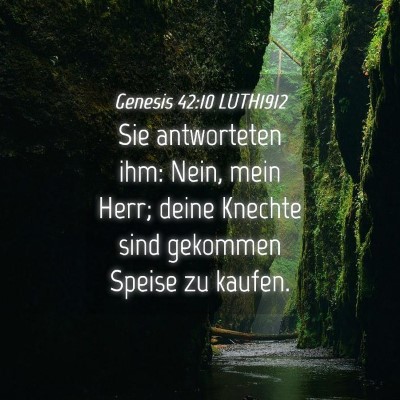Picture 04 - Genesis 42:10 LUTH1912 - Sie antworteten ihm: Nein, mein Herr; deine - Bible Verse Picture
