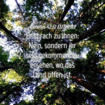 Picture 04 - Genesis 42:12 LUTH1912 - Er sprach zu ihnen: Nein, sondern ihr seid - Bible Verse Picture