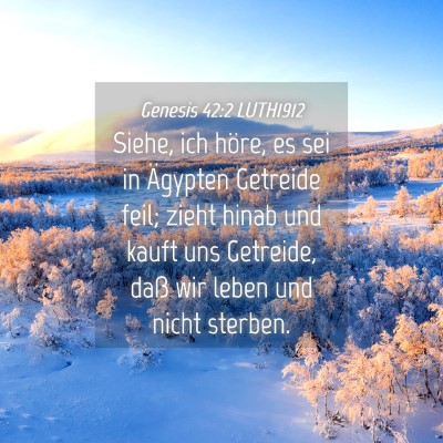 Picture 04 - Genesis 42:2 LUTH1912 - Siehe, ich höre, es sei in Ägypten Getreide - Bible Verse Picture