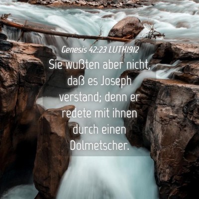 Picture 04 - Genesis 42:23 LUTH1912 - Sie wußten aber nicht, daß es Joseph verstand; - Bible Verse Picture