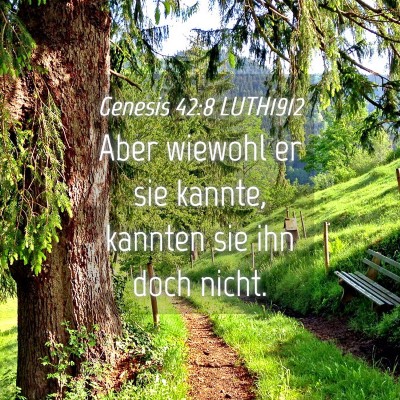 Picture 04 - Genesis 42:8 LUTH1912 - Aber wiewohl er sie kannte, kannten sie ihn doch - Bible Verse Picture