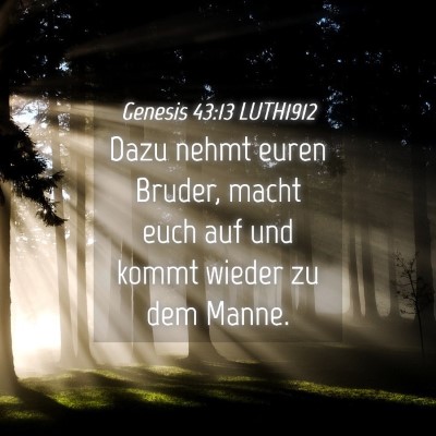 Picture 04 - Genesis 43:13 LUTH1912 - Dazu nehmt euren Bruder, macht euch auf und kommt - Bible Verse Picture