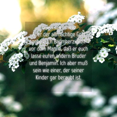 Picture 04 - Genesis 43:14 LUTH1912 - Aber der allmächtige Gott gebe euch - Bible Verse Picture