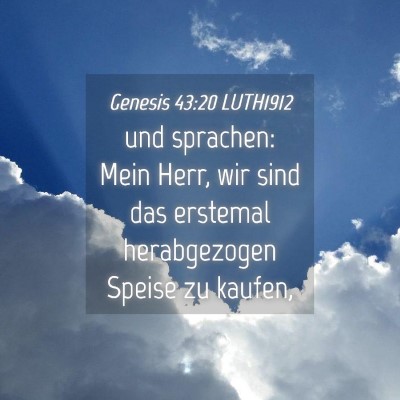 Picture 04 - Genesis 43:20 LUTH1912 - und sprachen: Mein Herr, wir sind das erstemal - Bible Verse Picture
