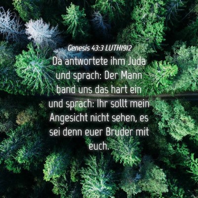Picture 04 - Genesis 43:3 LUTH1912 - Da antwortete ihm Juda und sprach: Der Mann band - Bible Verse Picture