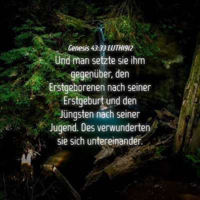 Picture 04 - Genesis 43:33 LUTH1912 - Und man setzte sie ihm gegenüber, den - Bible Verse Picture