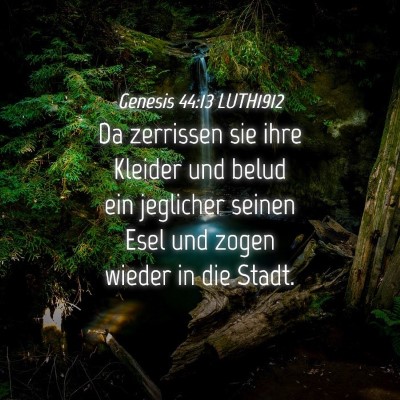 Picture 04 - Genesis 44:13 LUTH1912 - Da zerrissen sie ihre Kleider und belud ein - Bible Verse Picture