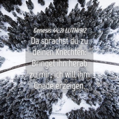 Picture 04 - Genesis 44:21 LUTH1912 - Da sprachst du zu deinen Knechten: Bringet ihn - Bible Verse Picture