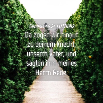 Picture 04 - Genesis 44:24 LUTH1912 - Da zogen wir hinauf zu deinem Knecht, unserm - Bible Verse Picture