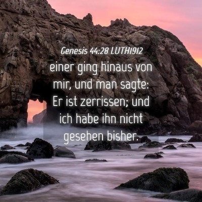 Picture 04 - Genesis 44:28 LUTH1912 - einer ging hinaus von mir, und man sagte: Er ist - Bible Verse Picture