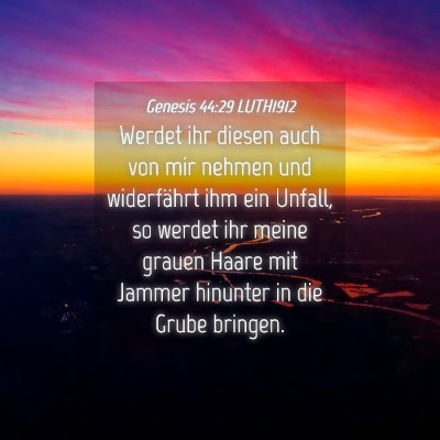 Picture 04 - Genesis 44:29 LUTH1912 - Werdet ihr diesen auch von mir nehmen und - Bible Verse Picture