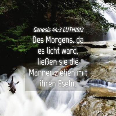 Picture 04 - Genesis 44:3 LUTH1912 - Des Morgens, da es licht ward, ließen sie die - Bible Verse Picture