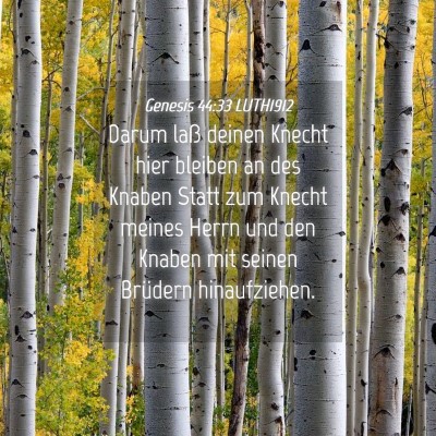 Picture 04 - Genesis 44:33 LUTH1912 - Darum laß deinen Knecht hier bleiben an des - Bible Verse Picture