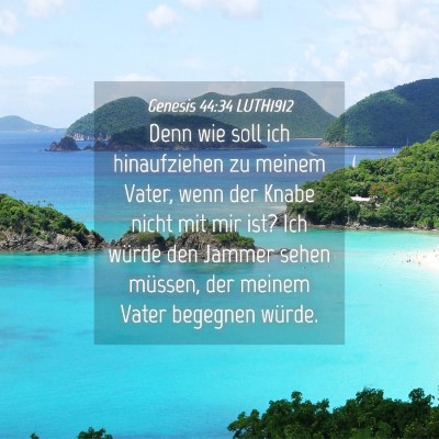 Picture 04 - Genesis 44:34 LUTH1912 - Denn wie soll ich hinaufziehen zu meinem Vater, - Bible Verse Picture