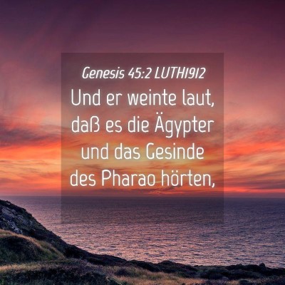 Picture 04 - Genesis 45:2 LUTH1912 - Und er weinte laut, daß es die Ägypter und das - Bible Verse Picture