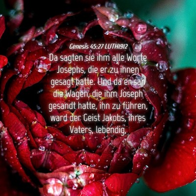 Picture 04 - Genesis 45:27 LUTH1912 - Da sagten sie ihm alle Worte Josephs, die er zu - Bible Verse Picture