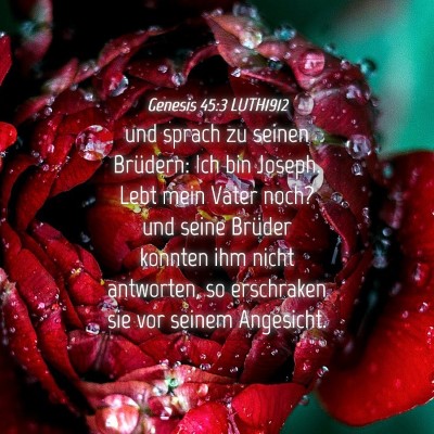 Picture 04 - Genesis 45:3 LUTH1912 - und sprach zu seinen Brüdern: Ich bin Joseph. - Bible Verse Picture