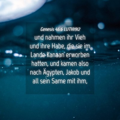 Picture 04 - Genesis 46:6 LUTH1912 - und nahmen ihr Vieh und ihre Habe, die sie im - Bible Verse Picture